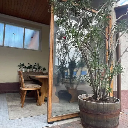 Апартаменты Seeblick Am Muldestausee Pouch